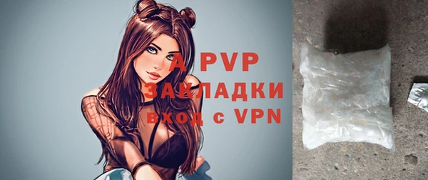 шишки Абаза