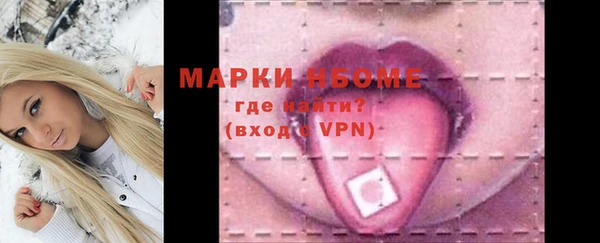 шишки Абаза
