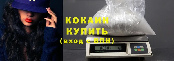 шишки Абаза