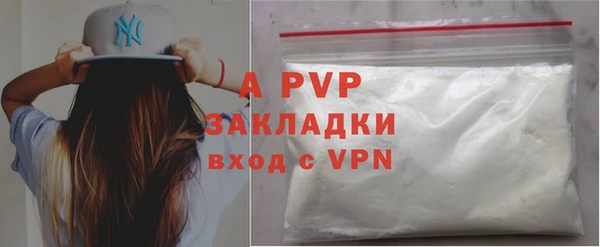 шишки Абаза