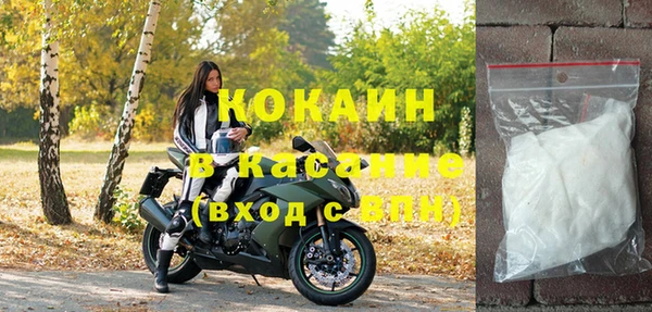 шишки Абаза