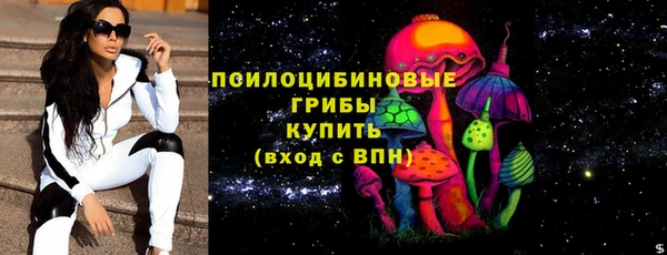шишки Абаза