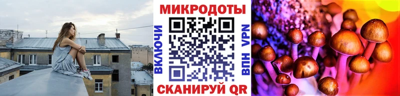 Галлюциногенные грибы Cubensis  Приволжский 